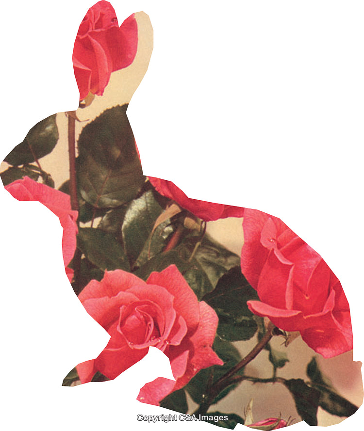 Colorful Floral Rabbit Silhouette Featuring Roses in Artistic Collage Design