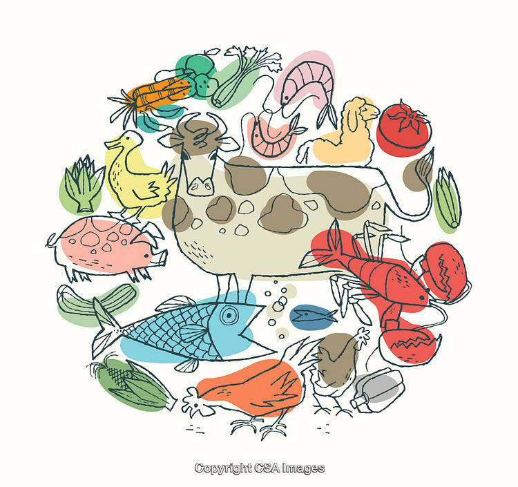 Colorful Line Art Illustrations of Various Farm Animals and Fresh Vegetables