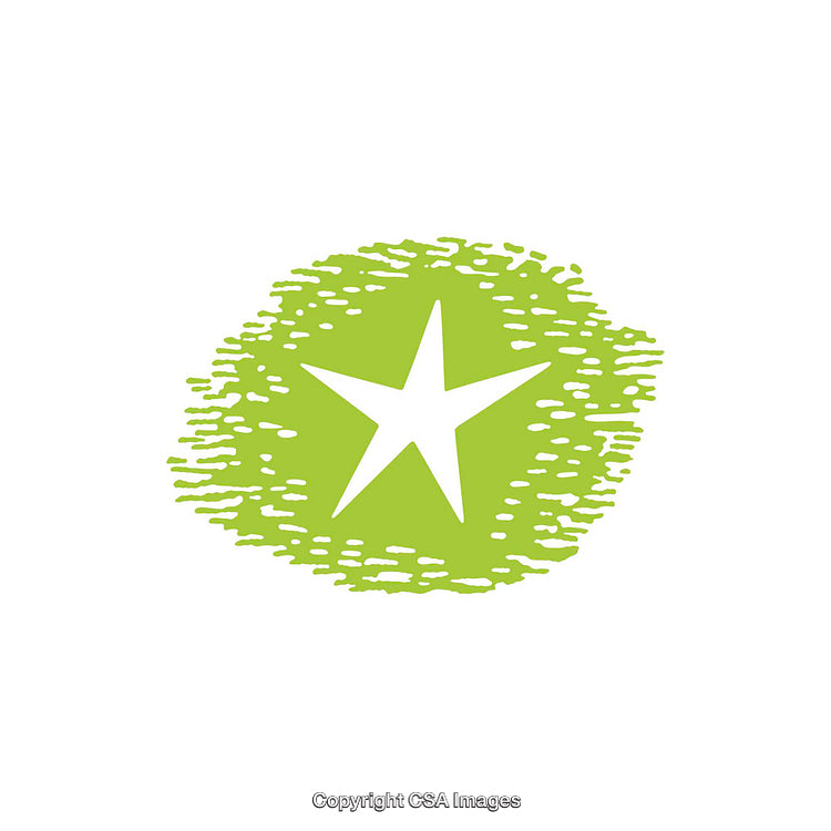 Green Star Symbol on Textured Background in Vector Style