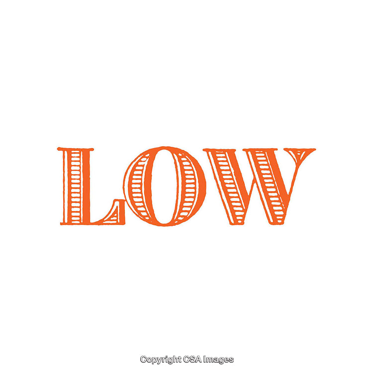 Orange Stylized Text Design Depicting the Word 'Low' on White Background
