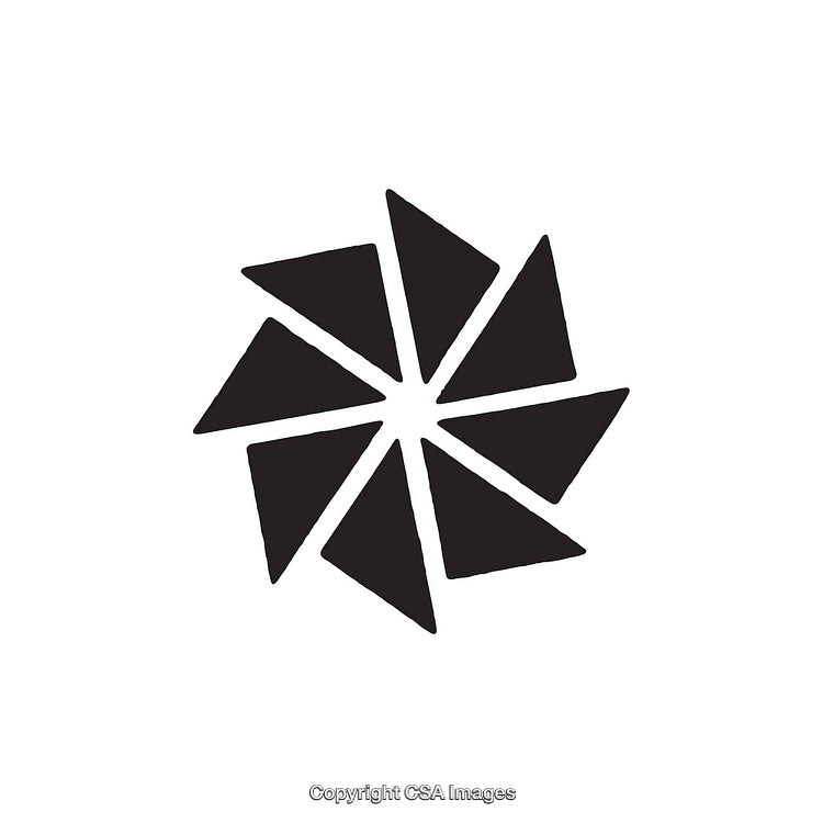 Black and White Geometric Shape Design with Abstract Symmetry