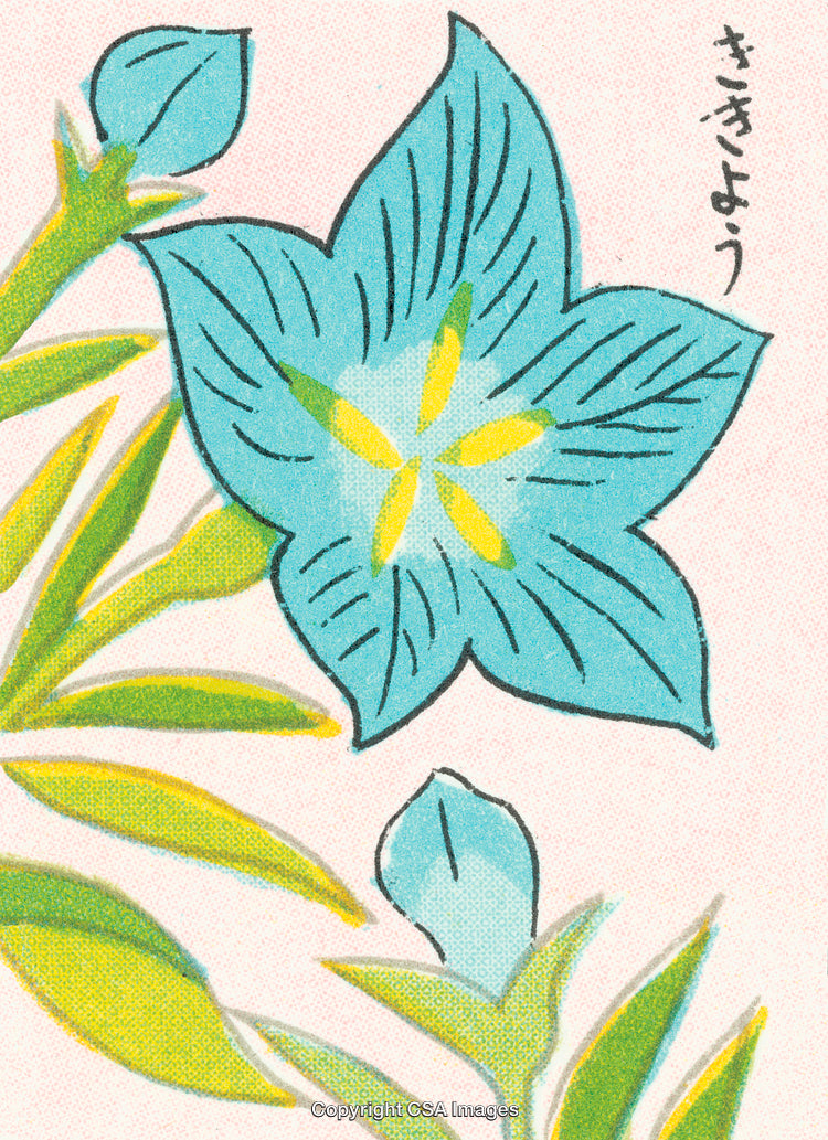 Blue Bellflower Botanically Styled Illustration with Green Leaves Art