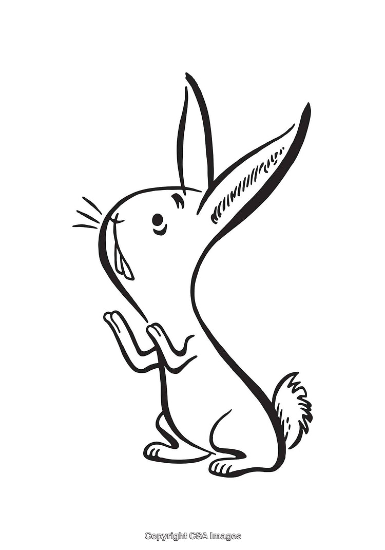 Black and White Line Art of a Cute Bunny Illustration