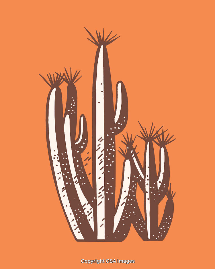 Stylized Cactus Illustration with Warm Orange Background