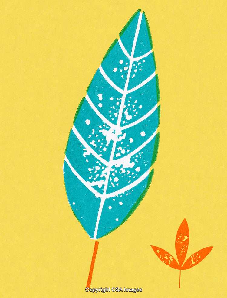 Colorful Abstract Leaf Illustration with Yellow Background and Unique Design Elements