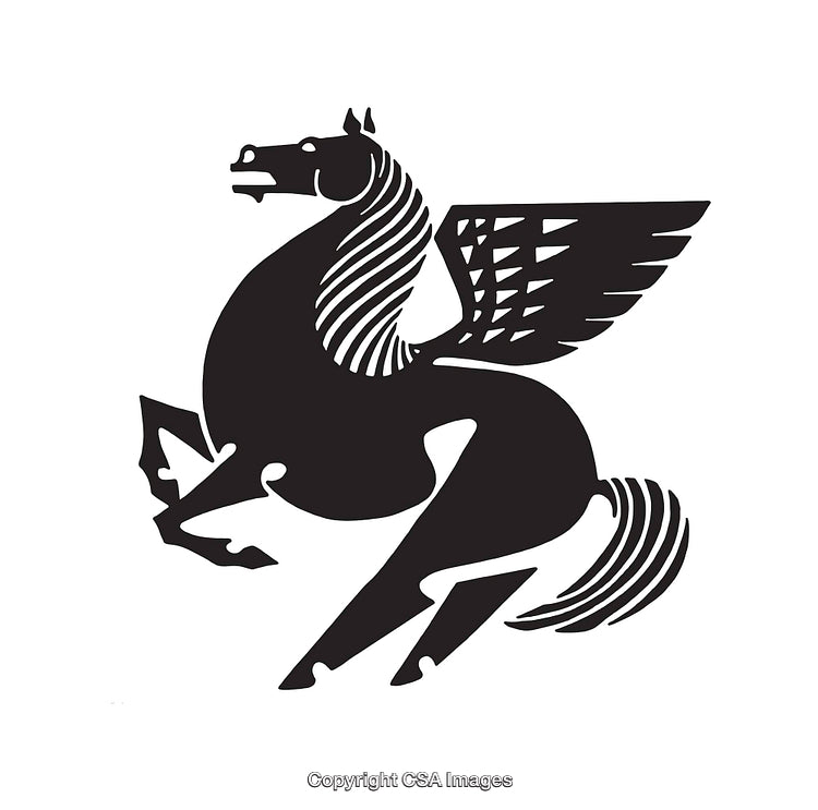 Elegant Black and White Pegasus Illustration With Detailed Line Art
