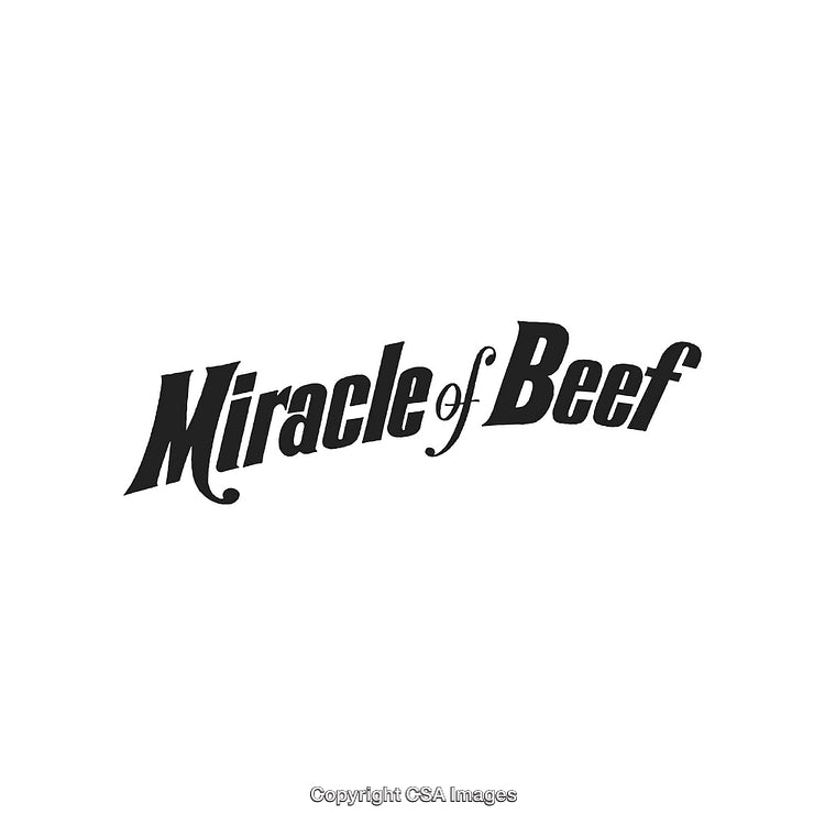Retro-Inspired Typography for Food Branding with Elegant and Bold Design