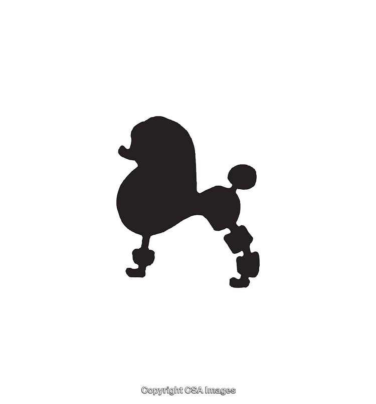 Black Silhouette Icon of a Poodle Dog on a White Background