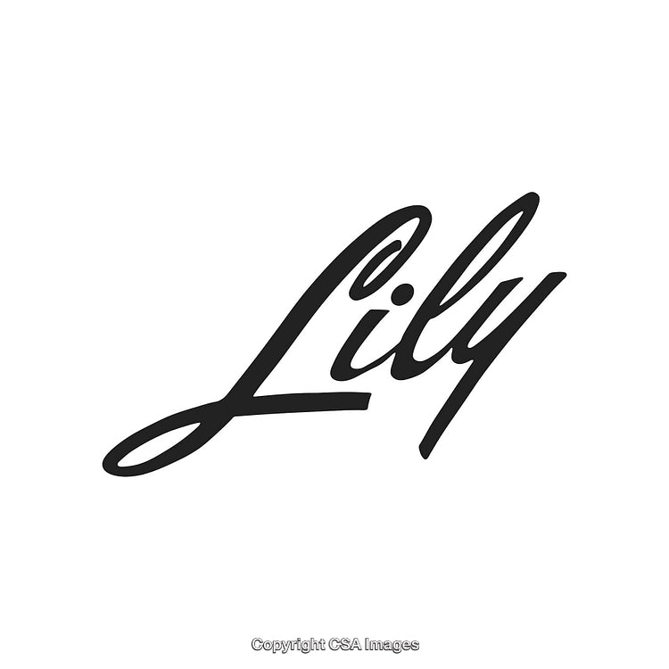 Stylized Handwritten Lily Text on a Clean White Background