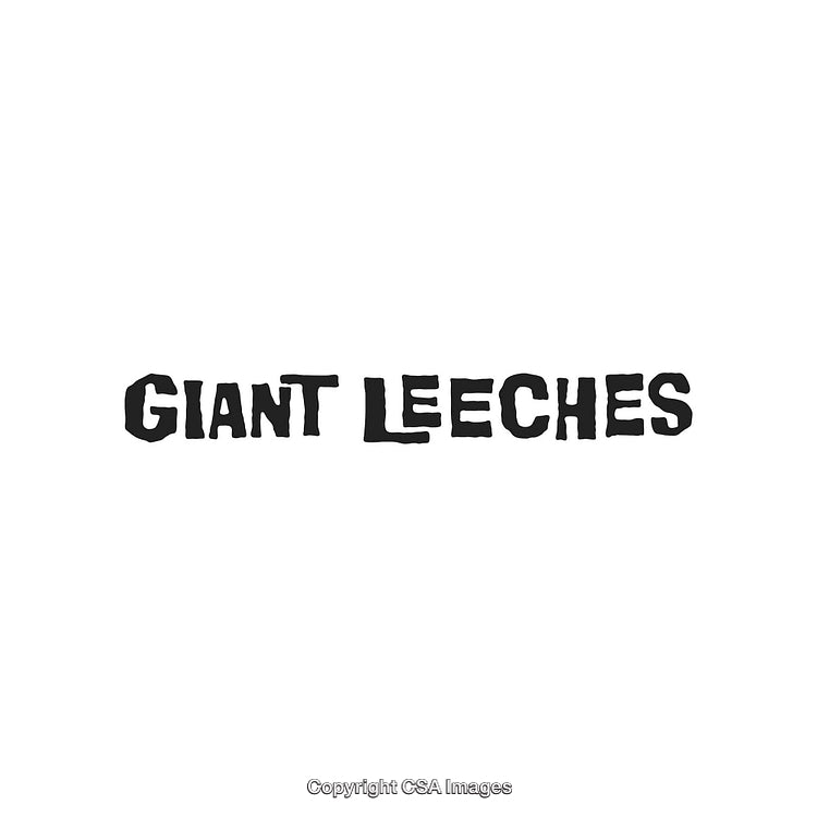 Giant Leeches Text in Bold Typeface on Clean White Background Display