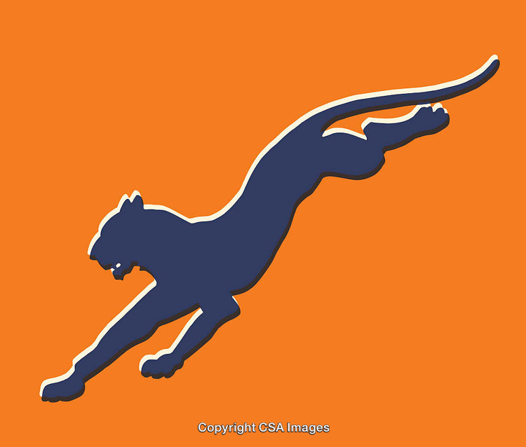Stylized Silhouette of a Leaping Panther with Vibrant Orange Background