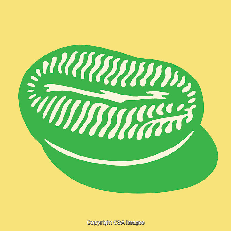 Green and Yellow Line Art Illustration of a Plant Form