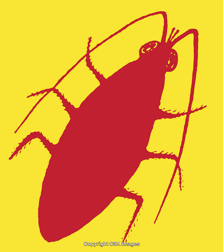 Bold Red Cockroach Silhouette on Vivid Yellow Background