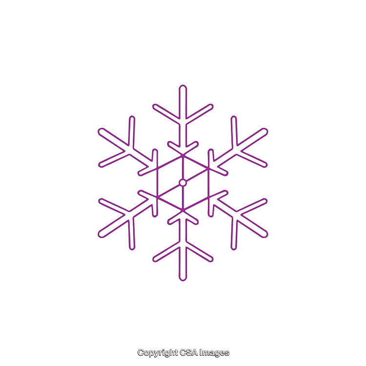Purple Snowflake Dingbat Design on Plain White Background