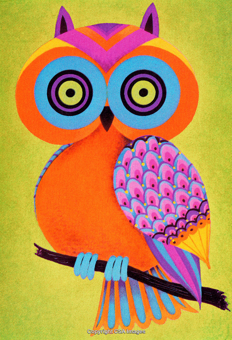 Vibrant Colorful Owl Illustration on a Bright Green Background