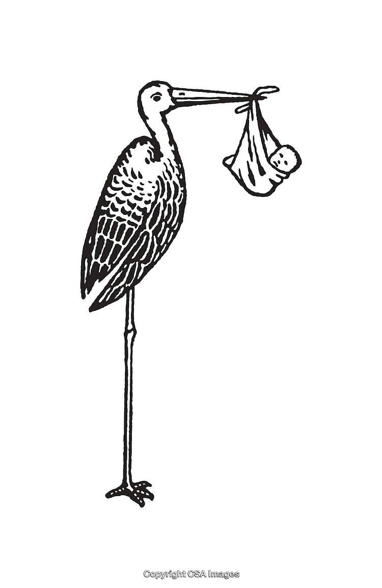 Black and White Illustration of a Stork Carrying a Baby in a Cloth
