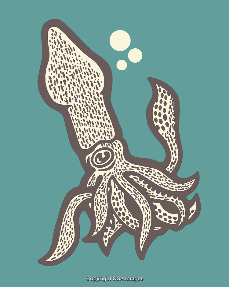 Stylized Illustration of a Squid in Minimalistic Lines and Textures