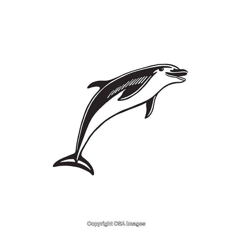 Black and White Dolphin Line Art Illustration Depicting Marine Life