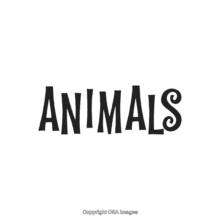 Creative Typography of the Word 'Animals' in Black on White Background