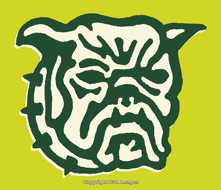 Green Bulldog Line Art on Yellow Background in Abstract Style