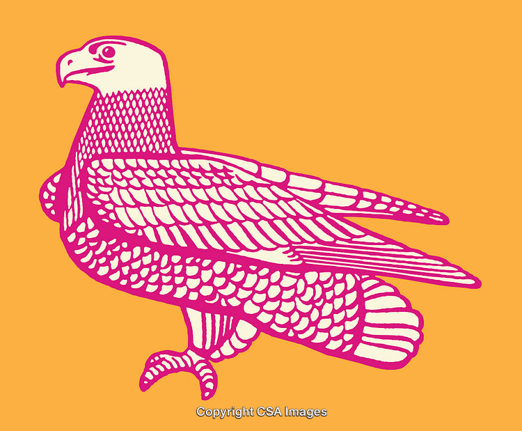 Pink Eagle Line Drawing on Bold Orange Background