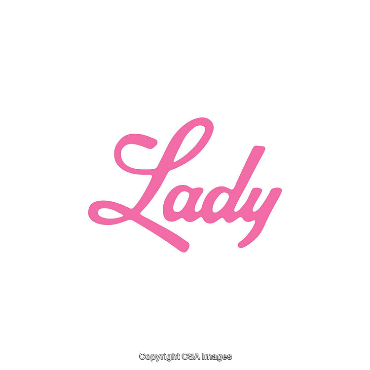 Pink Script Text 'Lady' on White Background - Feminine Minimal Design