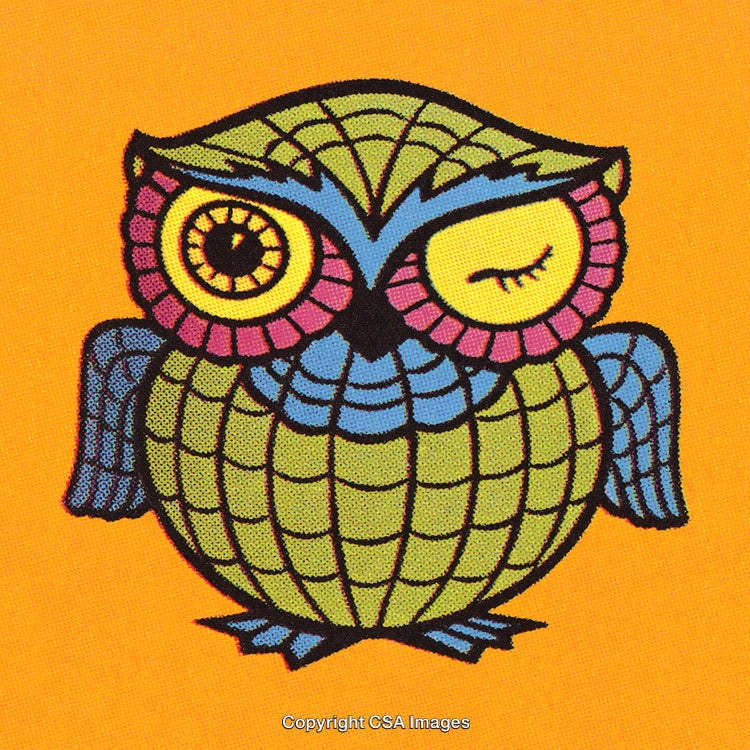 Colorful Decorative Owl Illustration on a Bright Orange Background