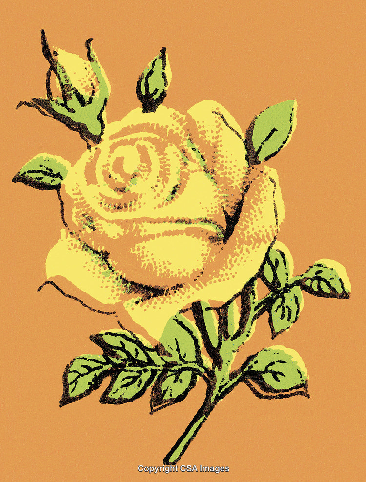 Illustration of a Yellow Rose Blossom with Buds on an Orange Background