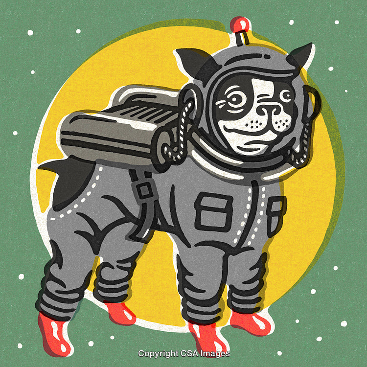 Illustration of a French Bulldog Astronaut in Space with Retro Design