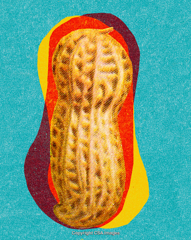 Vibrant Artistic Representation of a Single Peanut on Retro Background