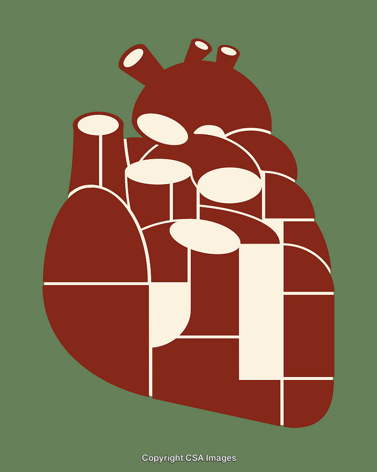 Minimalistic Abstract Illustration of Anatomical Heart in Brown and Green Tones