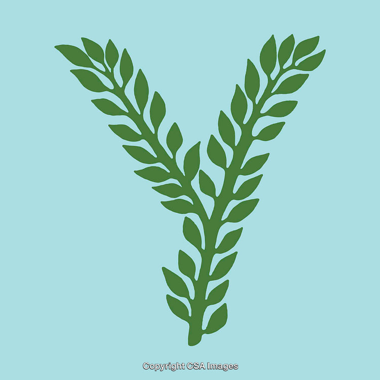 Green Letter Y Formed by Nature-Inspired Branch and Leaf Design