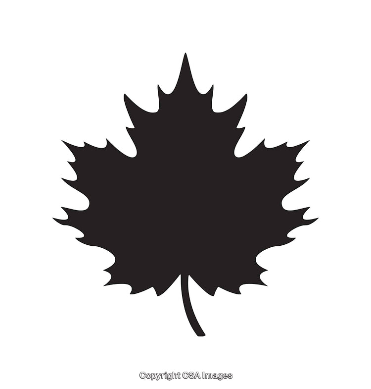 Black and White Silhouette of a Maple Leaf Design