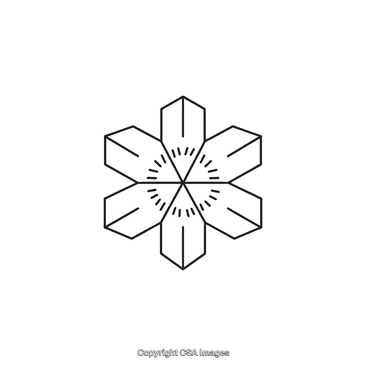 Black and White Geometric Star Pattern With Symmetrical Design Elements