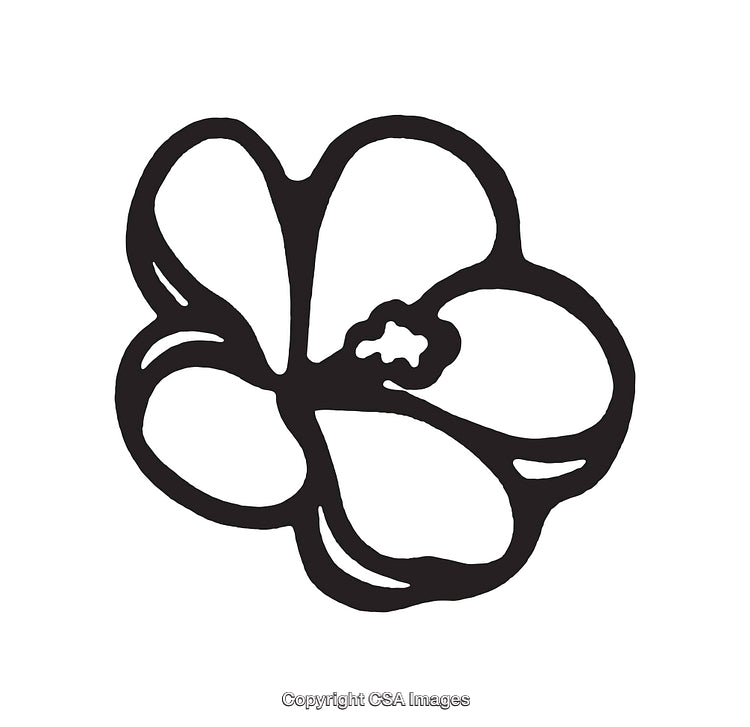 Minimalistic Black and White Line Art Flower Illustration on White Background