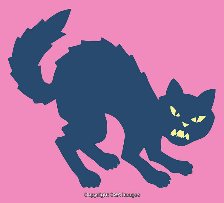 Abstract Line Art of an Angry Cat With Vibrant Colors