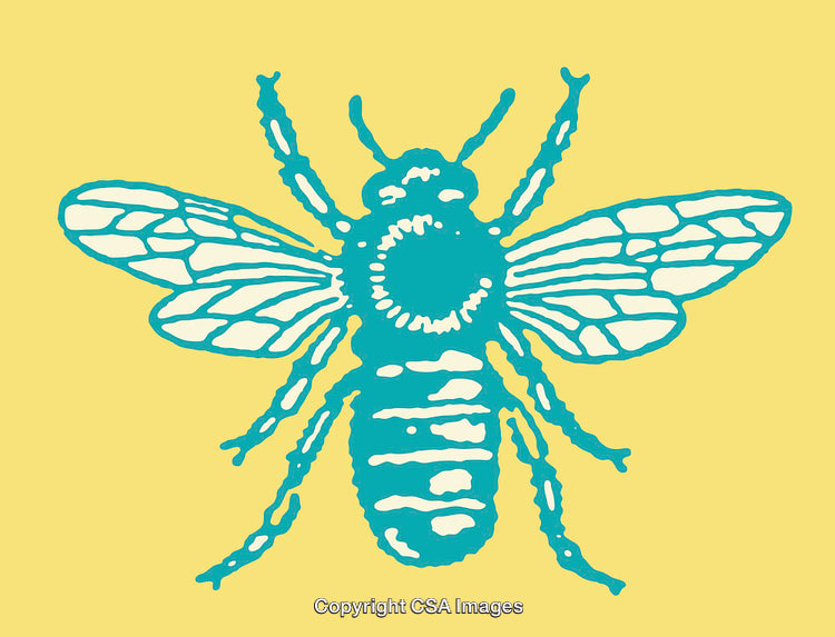 Colorful Line Art Illustration of a Stylized Honeybee on a Yellow Background