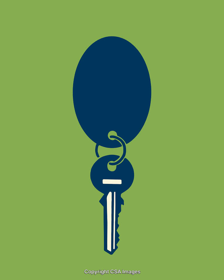 Blue Silhouette Key with Keyring on a Green Background