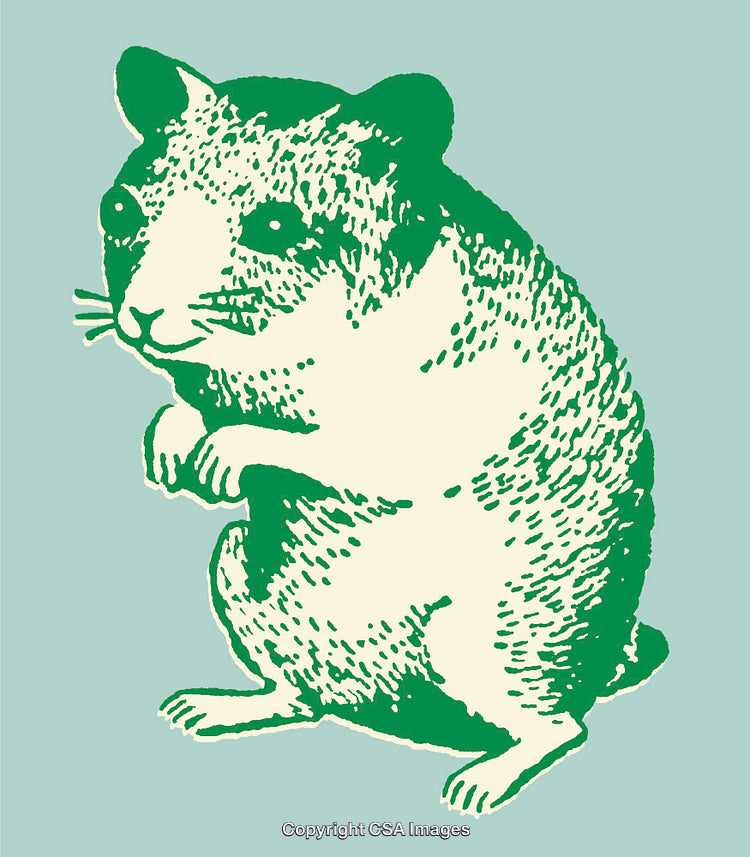 Illustrative Green Line Art of a Hamster on Blue Background