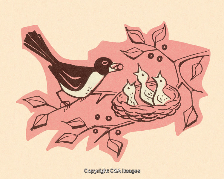 Vintage Illustration of a Bird Feeding Chicks in a Nest with Branches