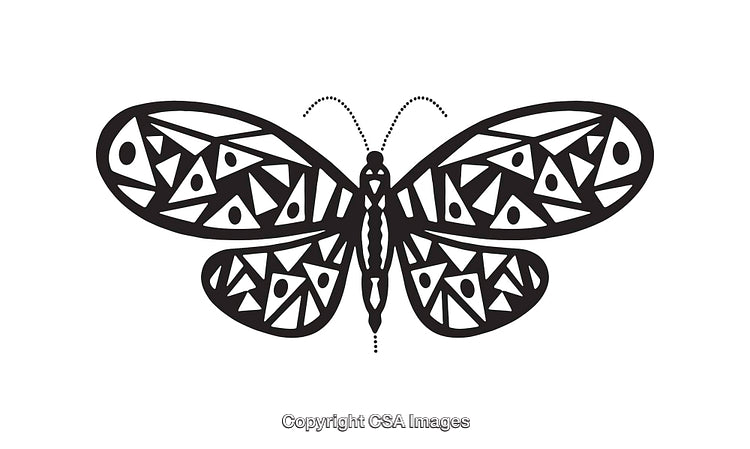 Intricate Black And White Butterfly Illustration with Geometric Wing Patterns