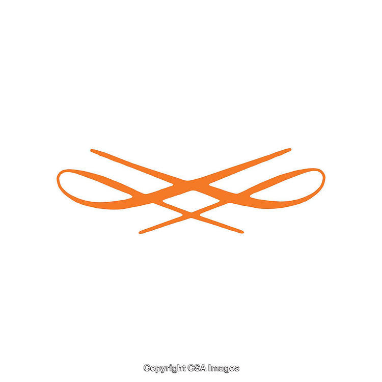Abstract Orange Line Art with Symmetrical Design on White