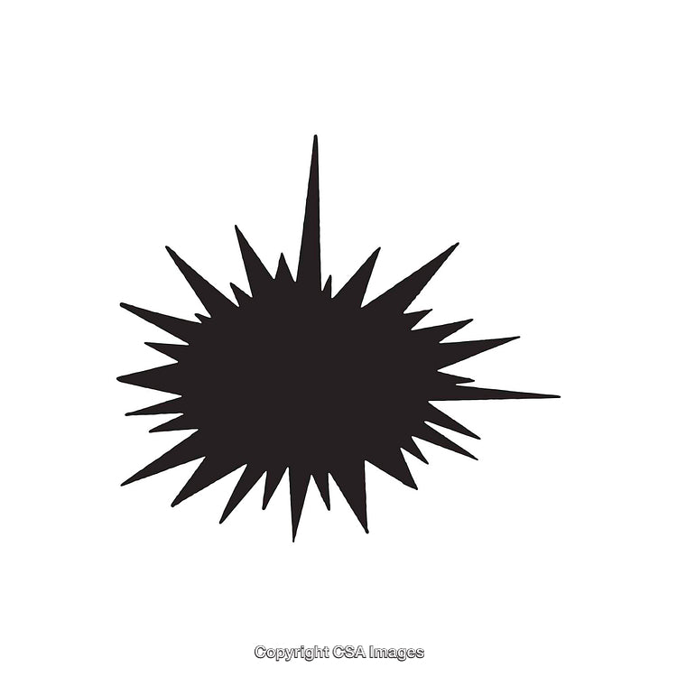 Black and White Abstract Irregular Star Shape on White Background