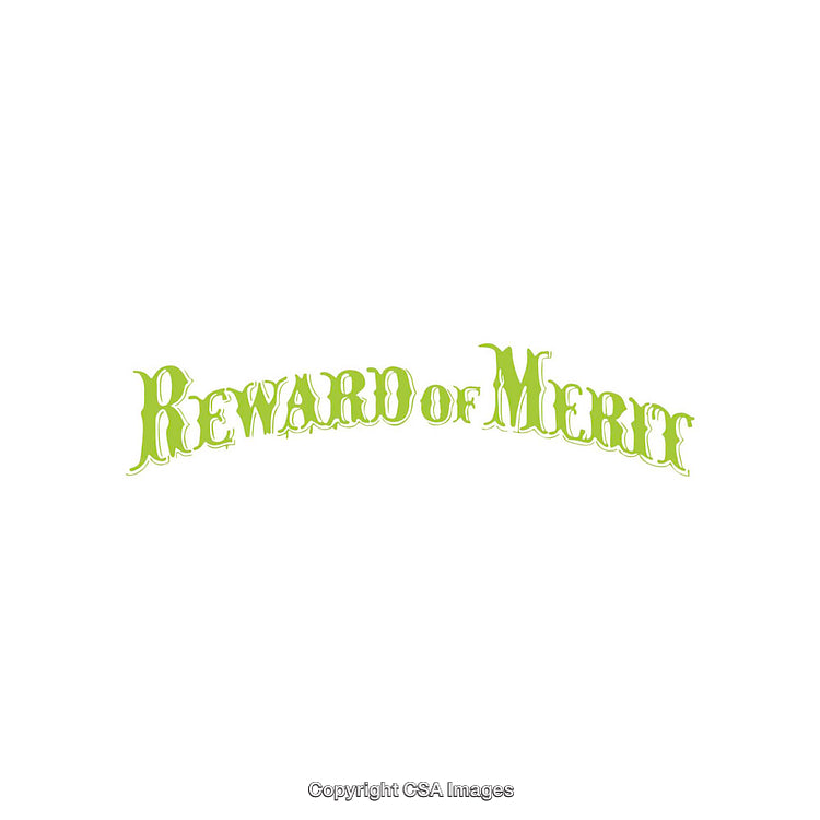 Retro Styled Typography Displaying Reward of Merit in Green Text