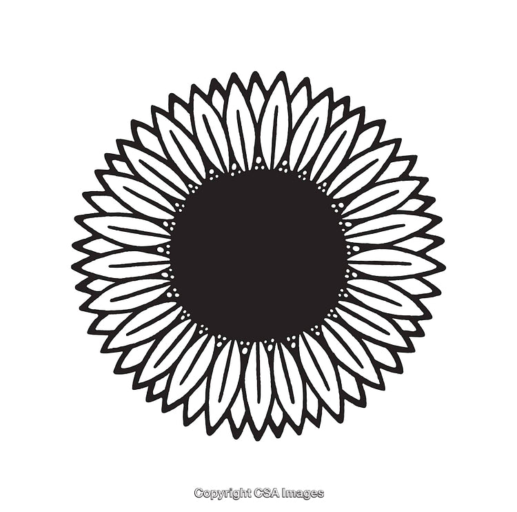 Black and White Sunflower Line Art with Petal and Center Details