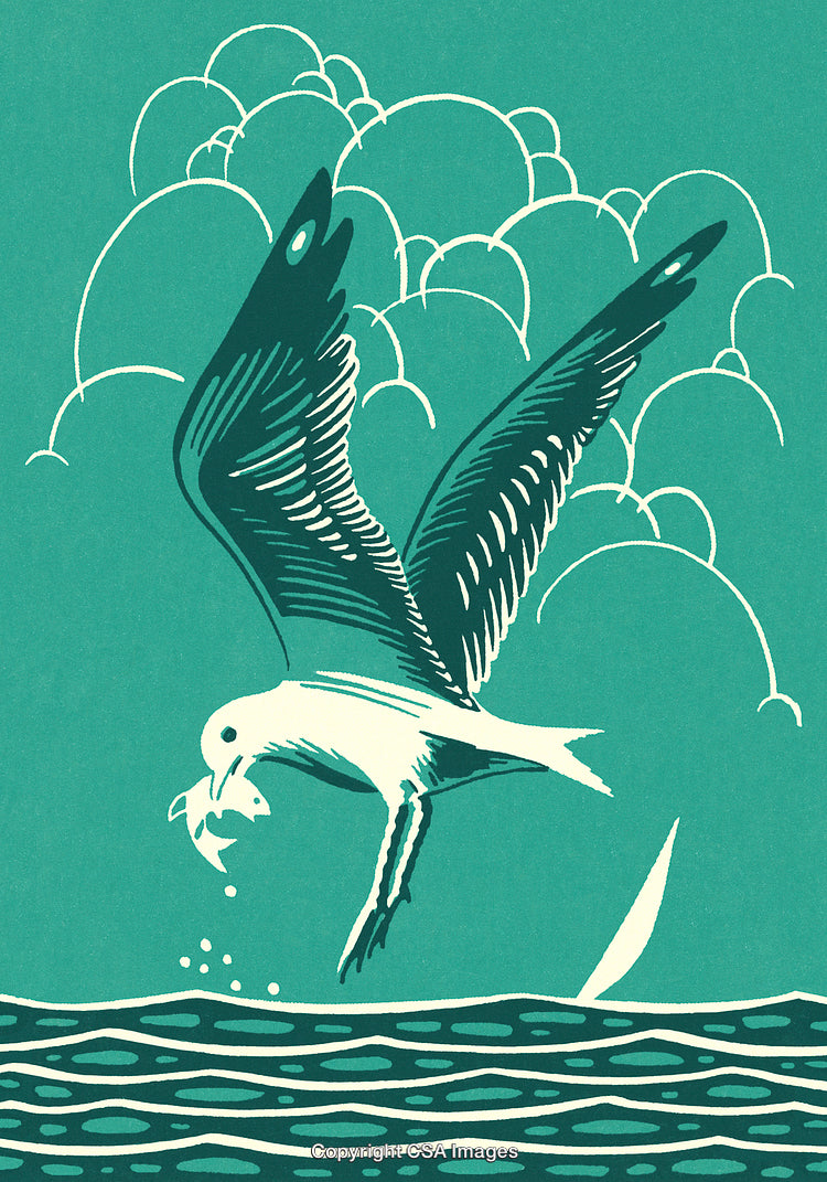Artistic Illustration of a Seabird Catching a Fish Over the Ocean Waves