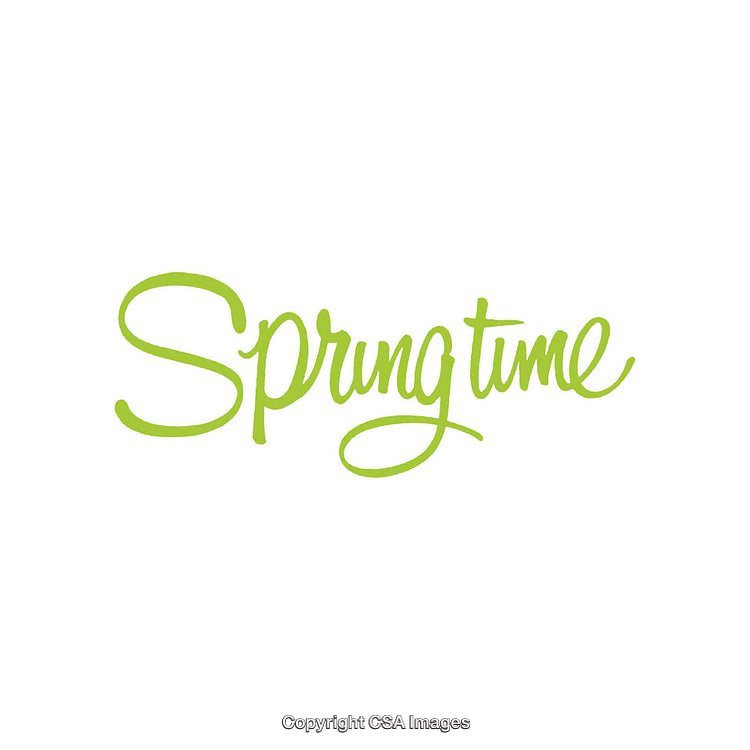 Handwritten Green Script of Springtime on White Background