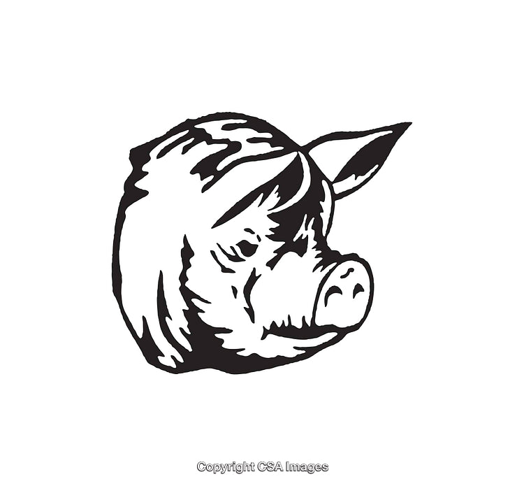 Black and White Line Art Illustration of a Pig's Head