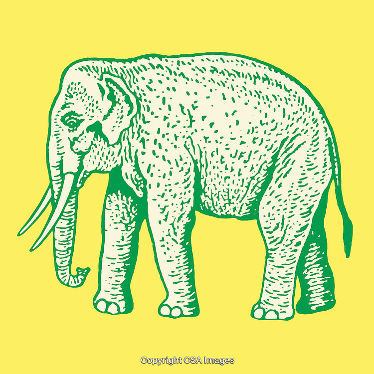 Colorful Line Art of an Elephant with a Bold Yellow Background