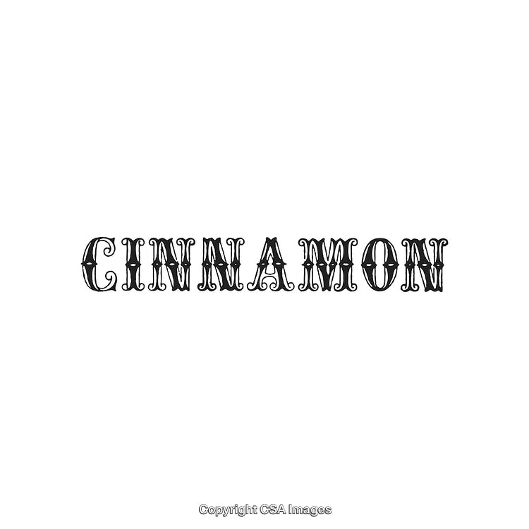Elegant Typography Design Highlighting the Word 'Cinnamon' in Vintage Style
